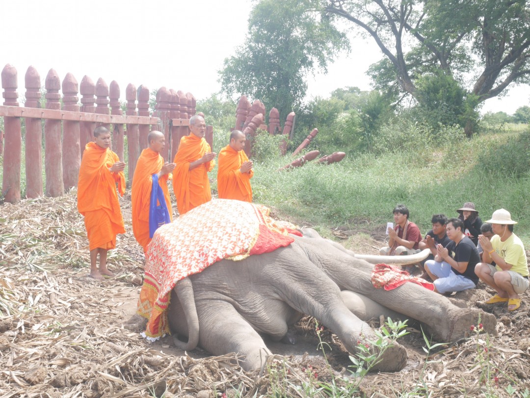 象さんのお葬式