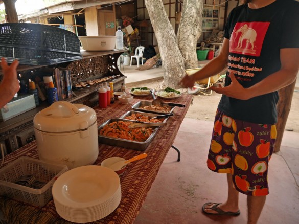 エレファントステイ8