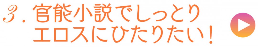 3.官能小説でしっとりエロス
