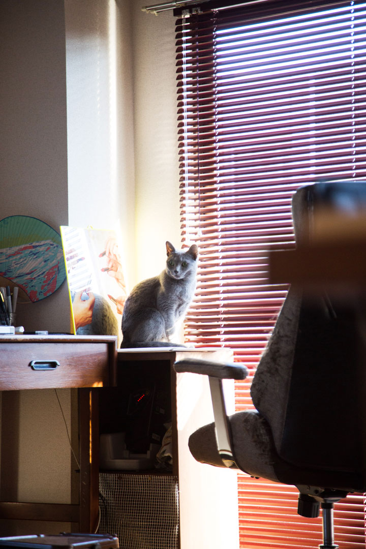 鳥飼さんの作業部屋