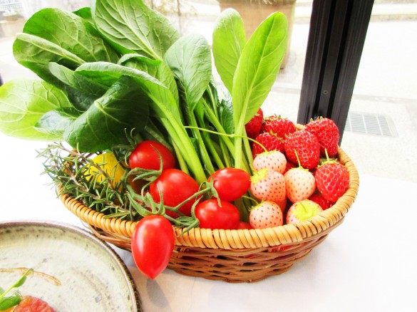 川崎野菜「かわさきそだち」