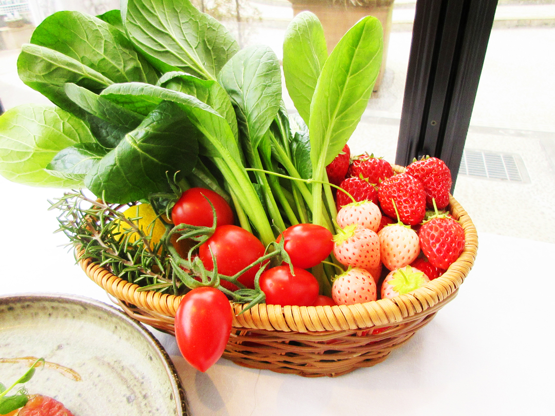 川崎野菜「かわさきそだち」