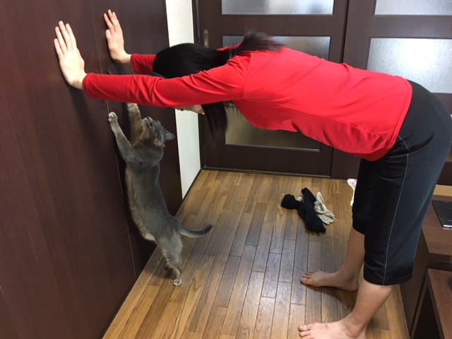 下向き犬のポーズ