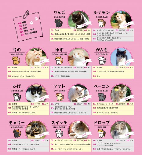 『ねこあつめの家』より 『ねこあつめの家』より
