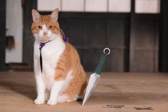 『猫忍』より_5 『猫忍』より_5