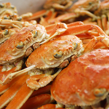 石川県「香箱ガニ」