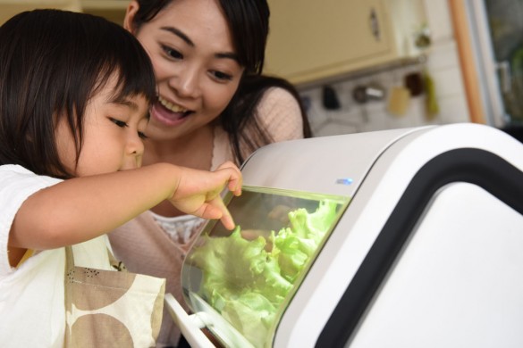 自由研究 自由研究