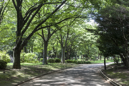 駒沢公園 駒沢公園