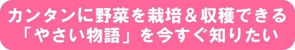 カンタンに野菜を栽培&収穫できる「やさい物語」を今すぐ知りたい カンタンに野菜を栽培&収穫できる「やさい物語」を今すぐ知りたい