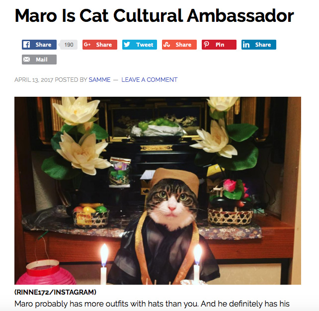 海外サイト「LIFE WITH CATS」で紹介されたマロくん