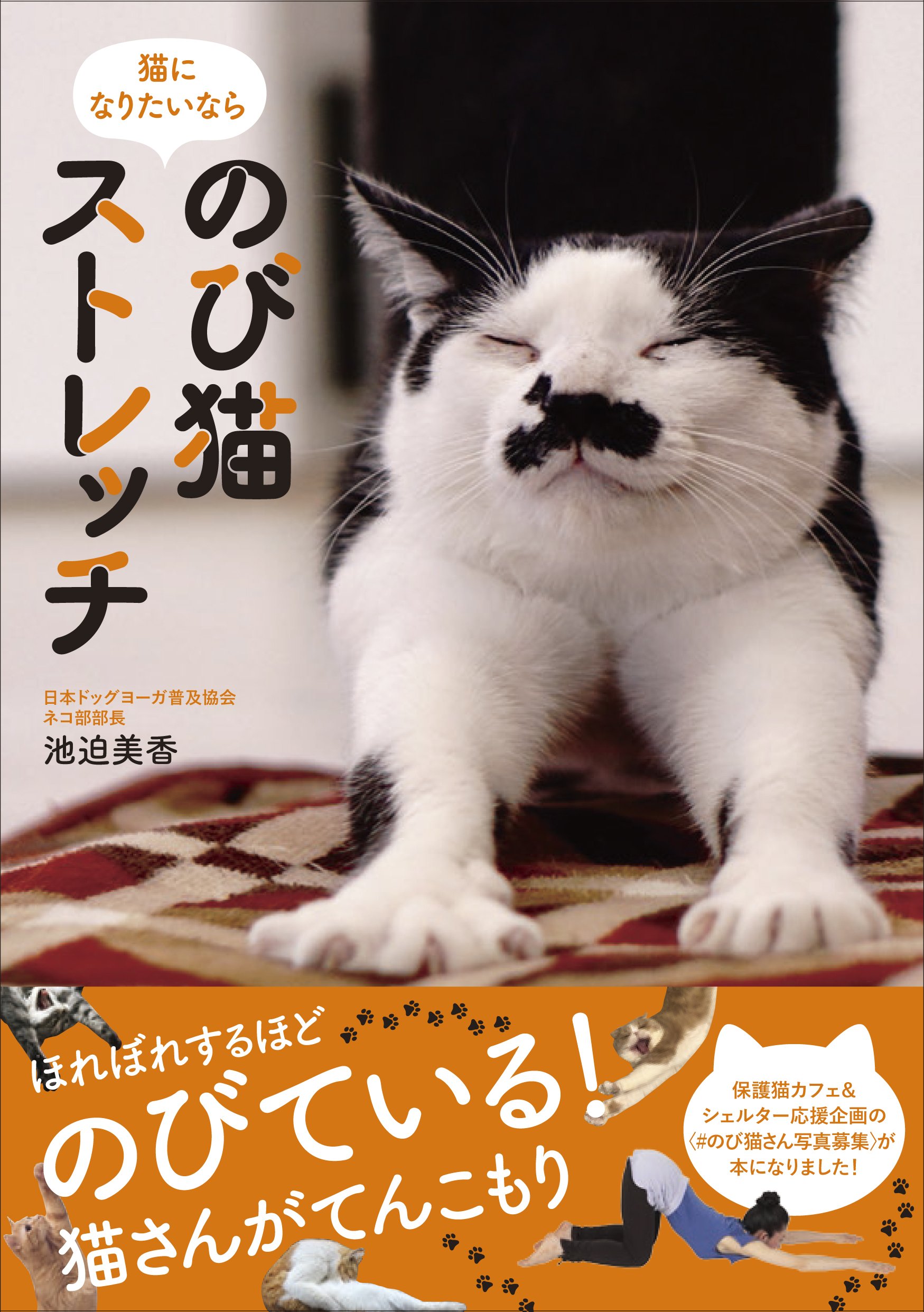 のび猫ストレッチ