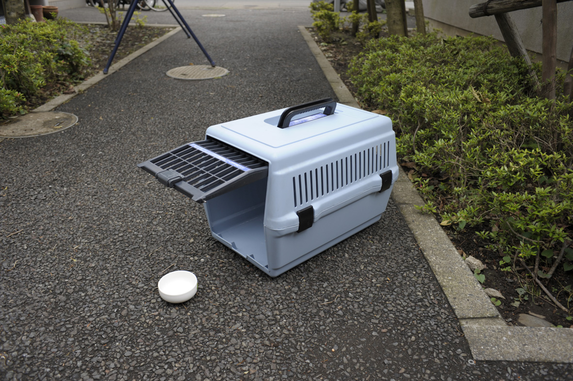 キャリーケース