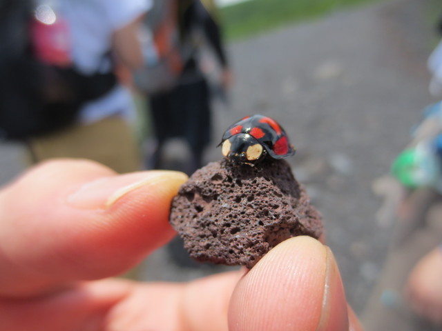 いい男は“石の裏”にいる