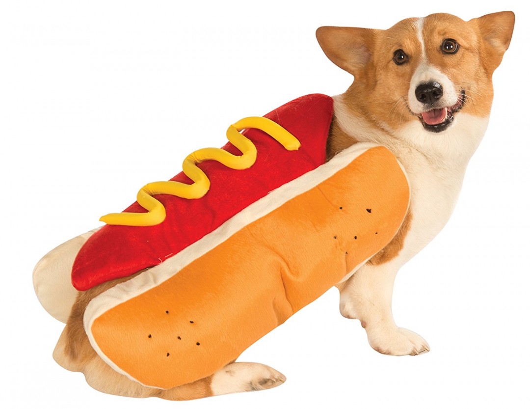 犬＝Dogだけに「ホットドック・ドッグ」