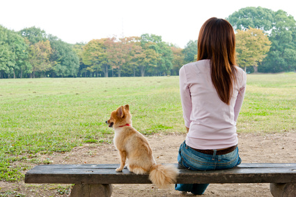 ペット が セール 理由 で 離婚