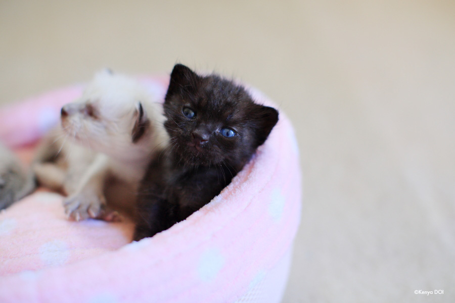 出会えてよかったね