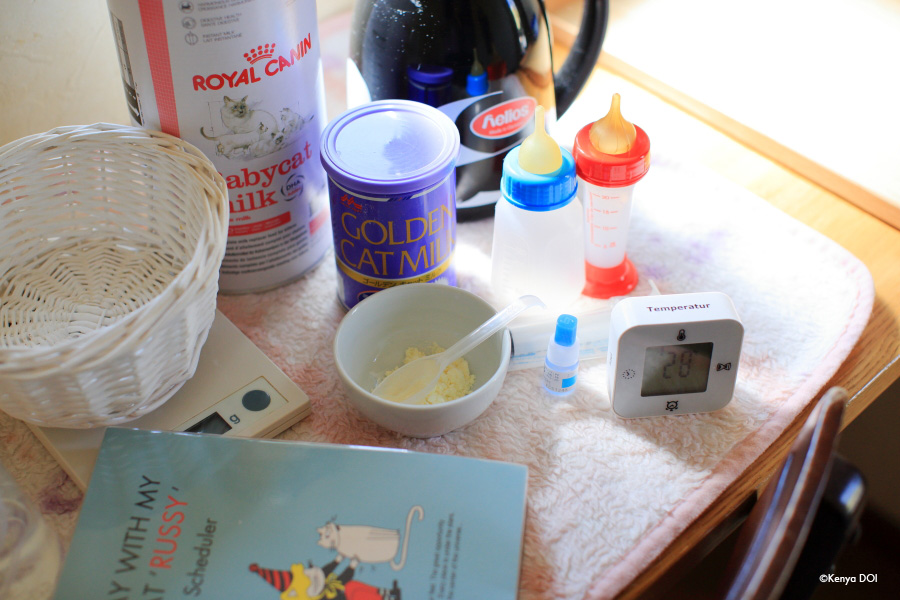 ミルク期の猫のお世話はとても大変