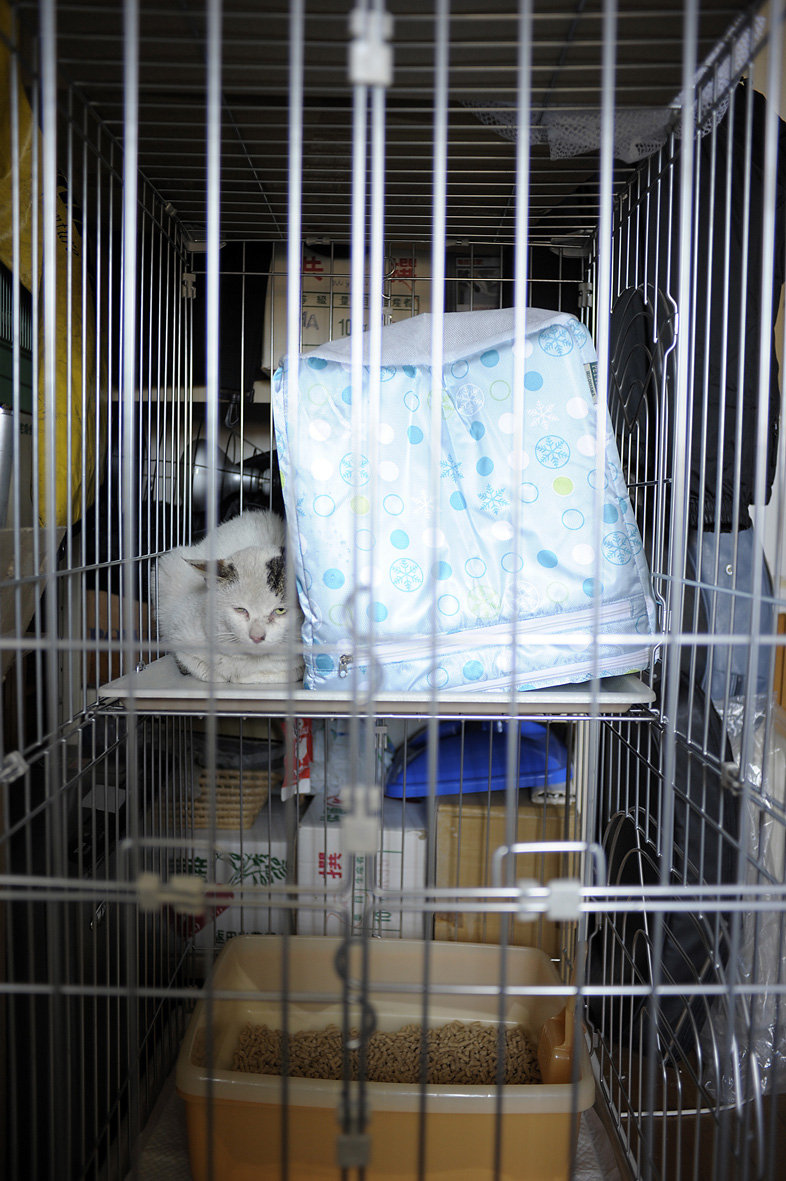 ごめんよ、ぽー