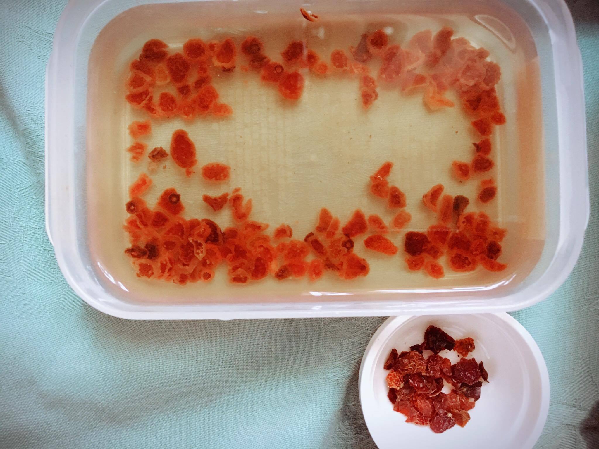 オミジャ茶ゼリー