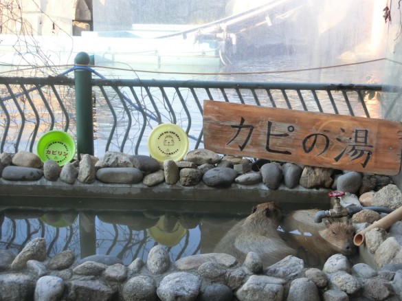 カピバランド　カピの湯