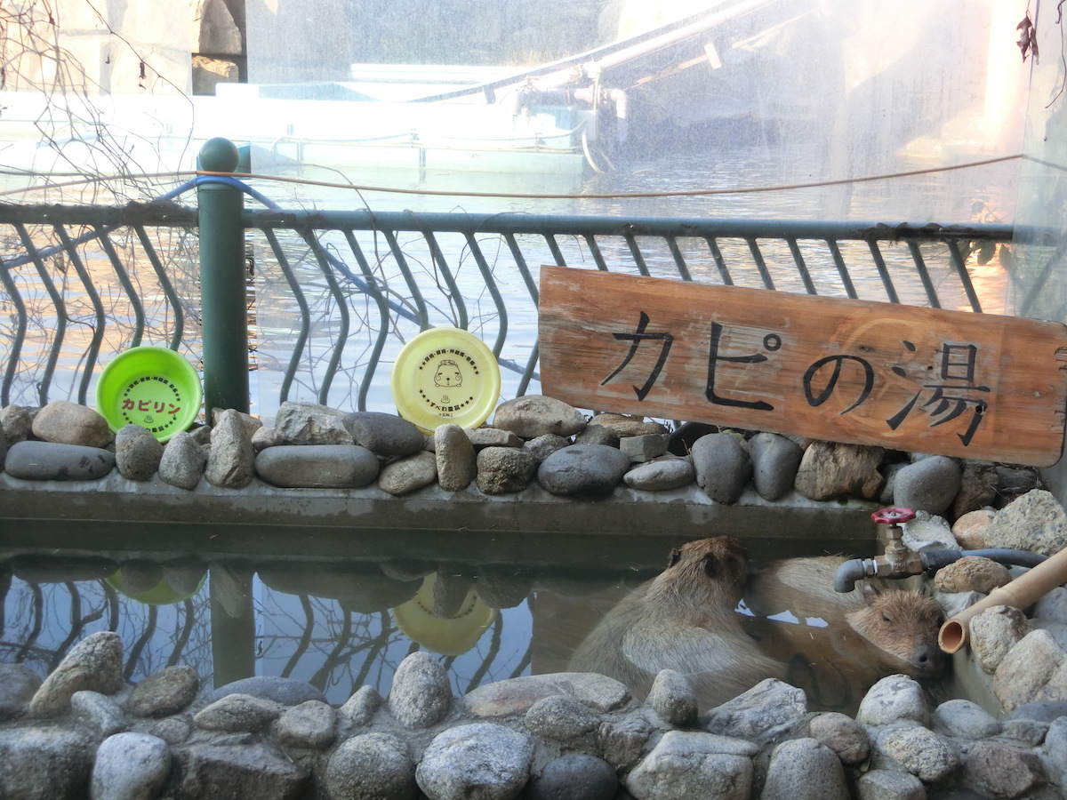 カピバランド　カピの湯