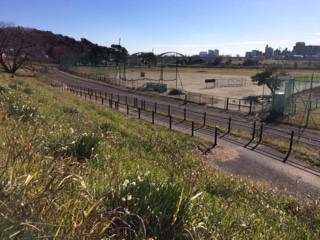 多摩川の河川敷 多摩川の河川敷