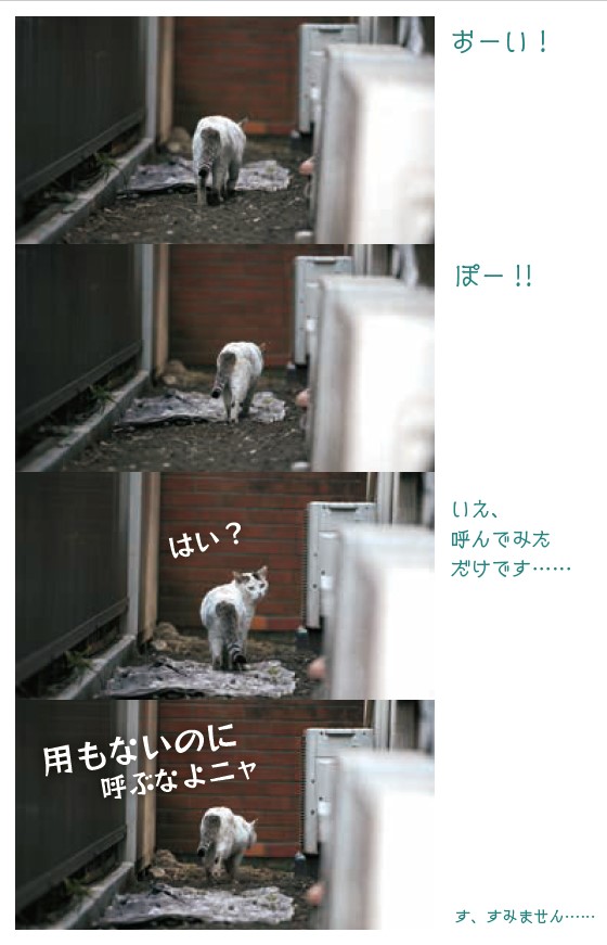 呼んでみただけです