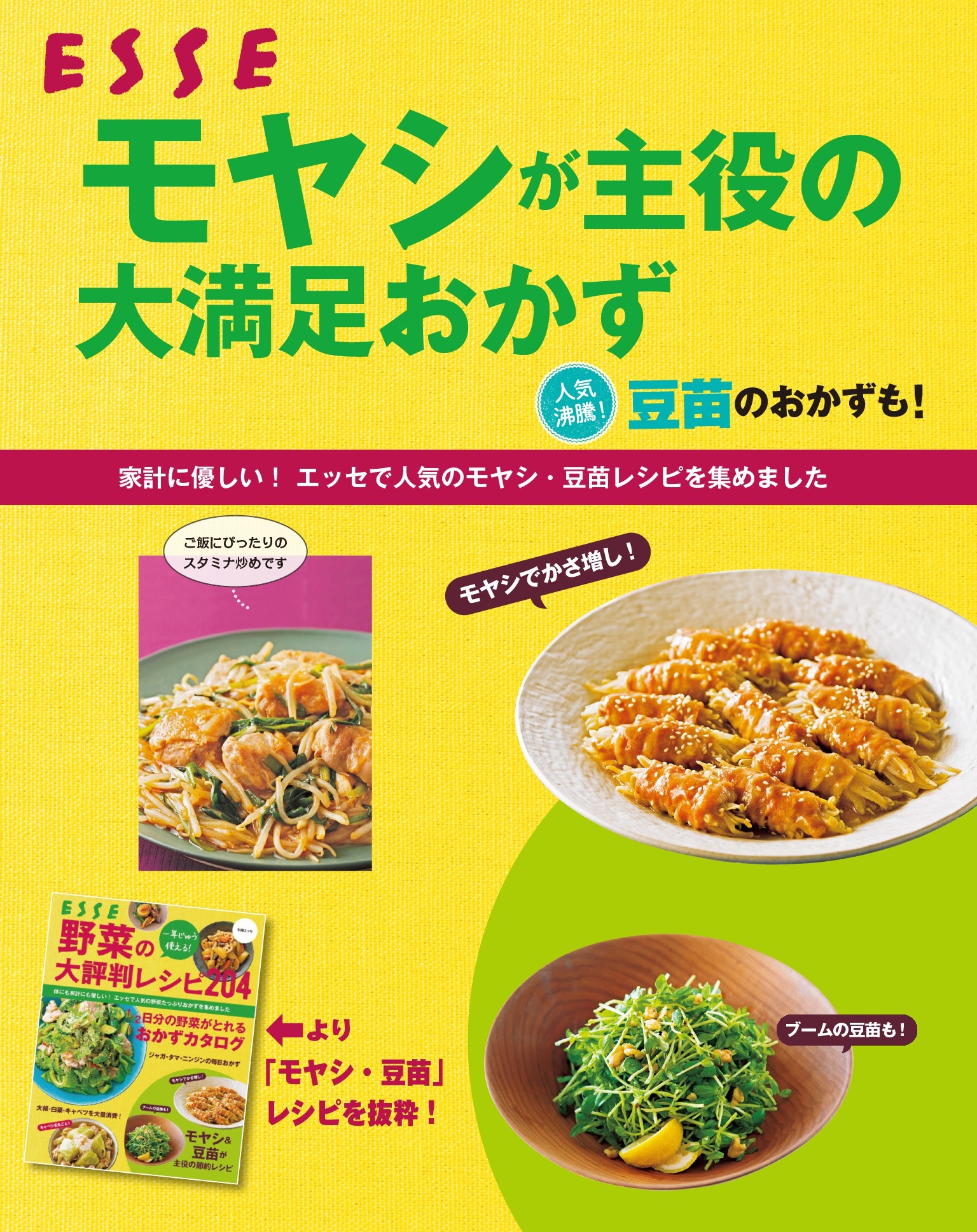 『モヤシが主役の大満足おかず』