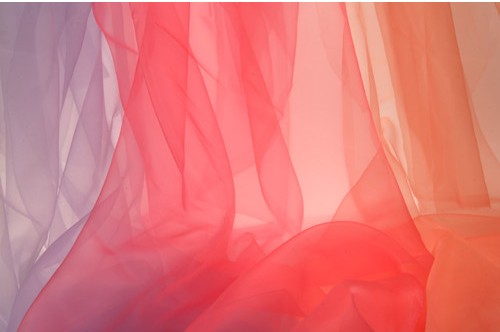 オーガンジー オーガンジー