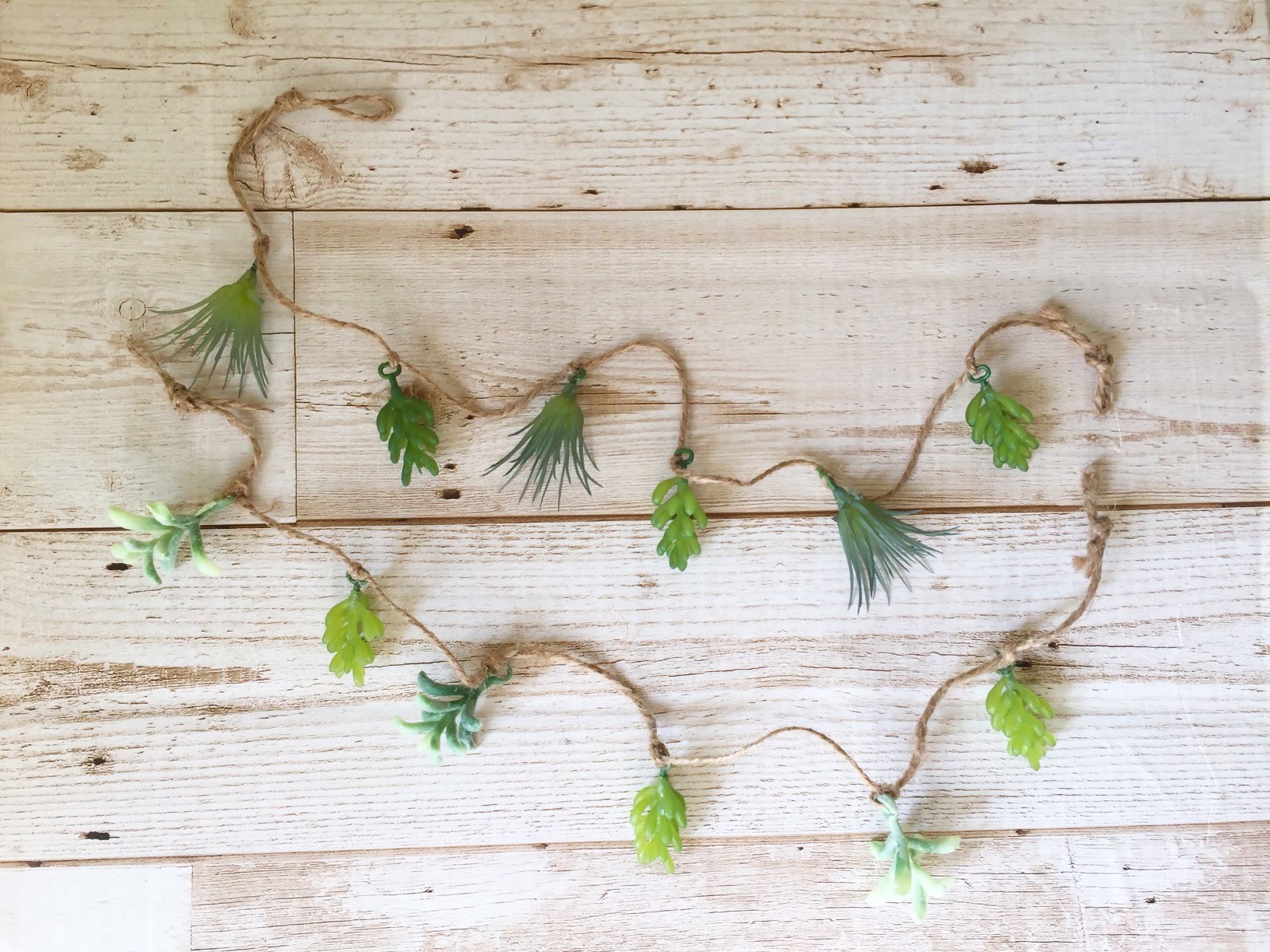 チランジア／セダムガーランド