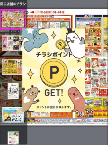 チラシポイント