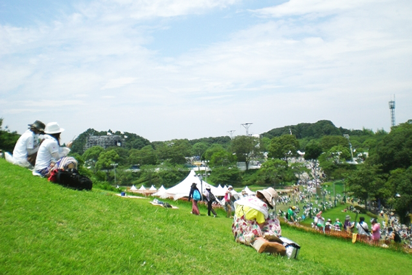 お取り寄せ手帖・フェス