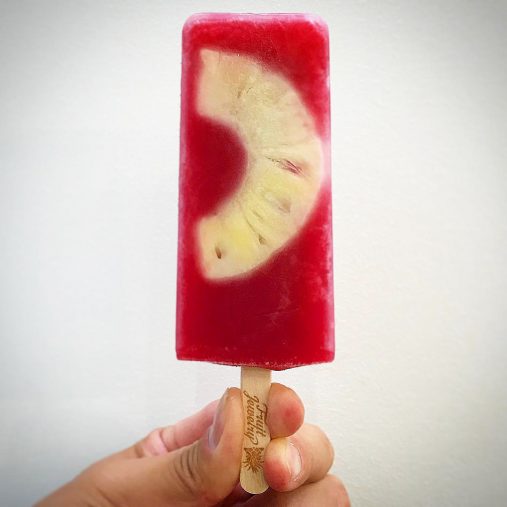 ハイビスカスアイスバー