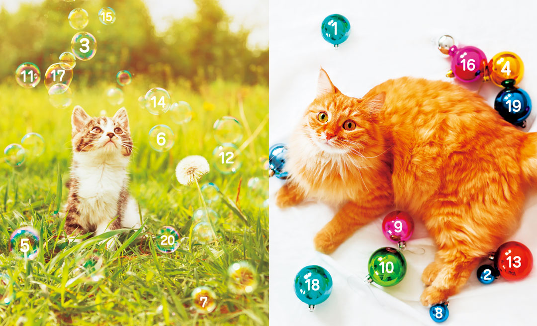 数字を順番に目で追うだけトレーニング