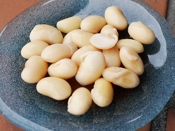 大豆スプラウト