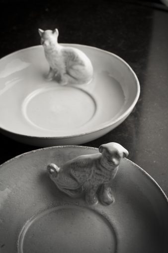 アスティエドゥラヴィラット　小皿 アスティエドゥラヴィラット 小皿 ASTIER DE VILLATTE