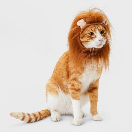 Cat Costume - Lion - Hyde and Eek! Boutique