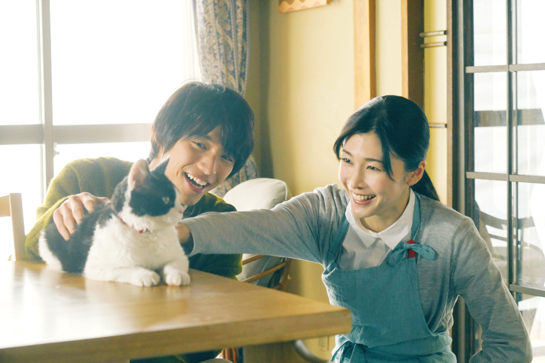 『旅猫リポート』より