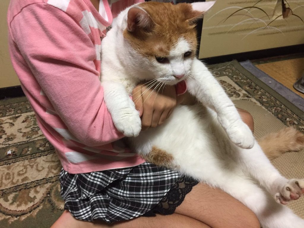 茶色さんと駅長さん