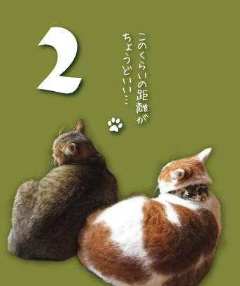 「猫の茶色さん日めくりカレンダー」1,700円(内税)　より。しげない工房 https://shigenai.shop-pro.jp/