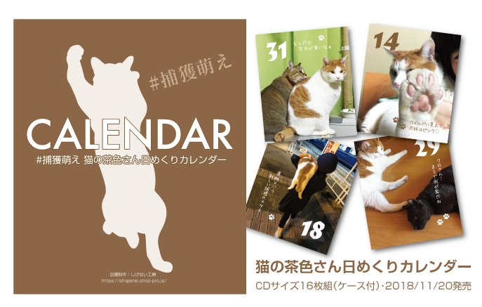 茶色さん日めくりカレンダー