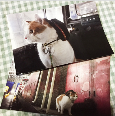 小坂鉄道ナイト特製ポストカード(6枚+シークレット)1200円(内税)