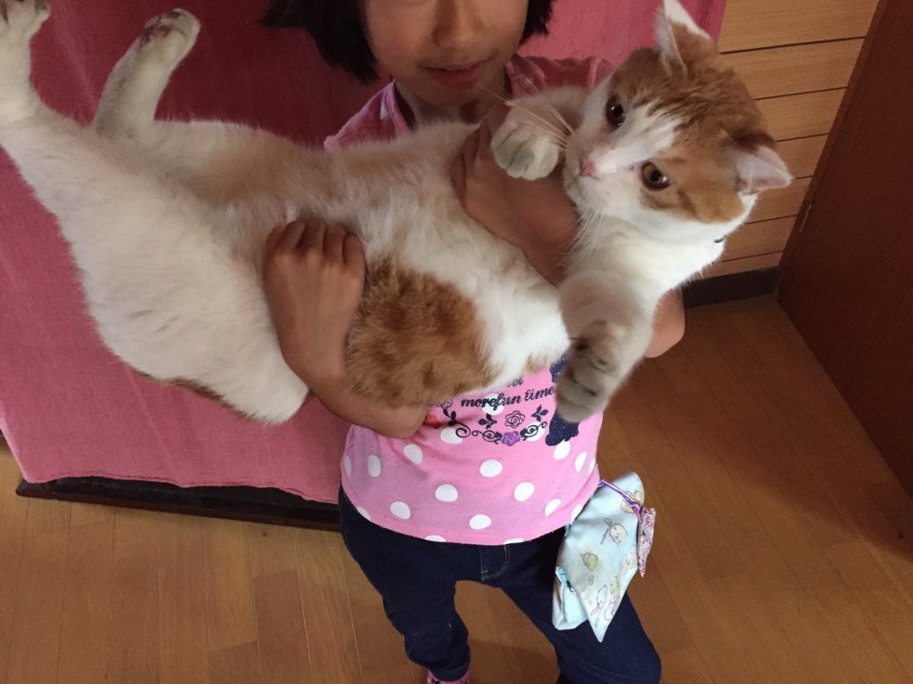 子供駅長と茶色さん