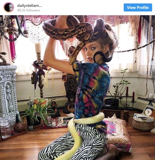 ステラ・マックスウェル