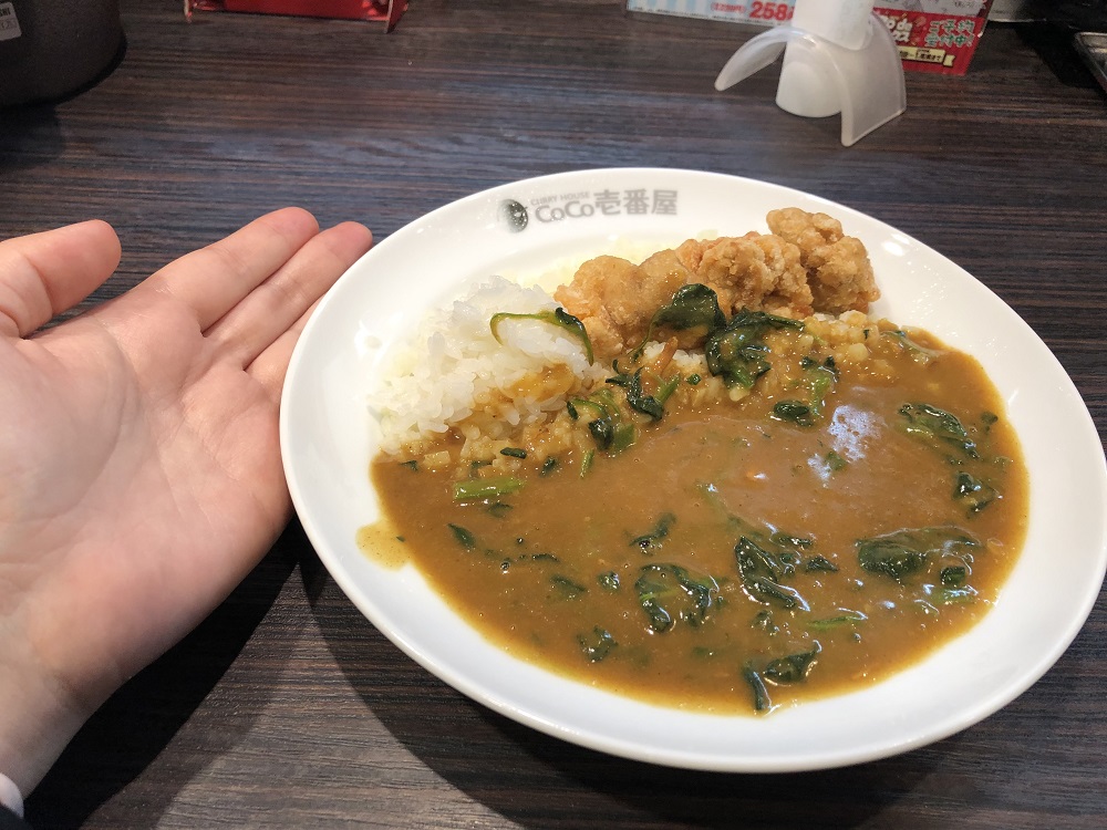 CoCo de オフカレーと筆者の手