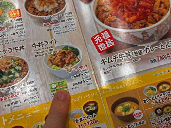 すき家／低糖質メニュー「牛丼ライト」