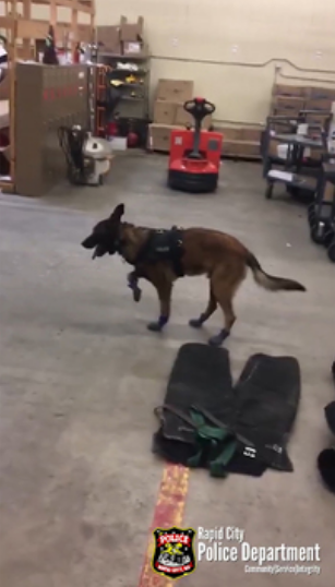 ラピッドシティ警察の動画より