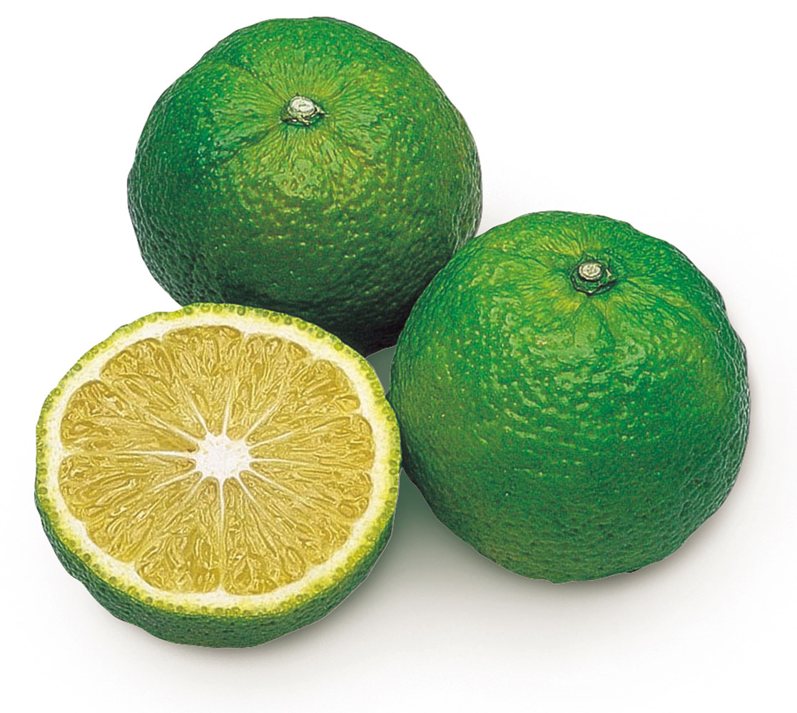 花粉に効くじゃばら