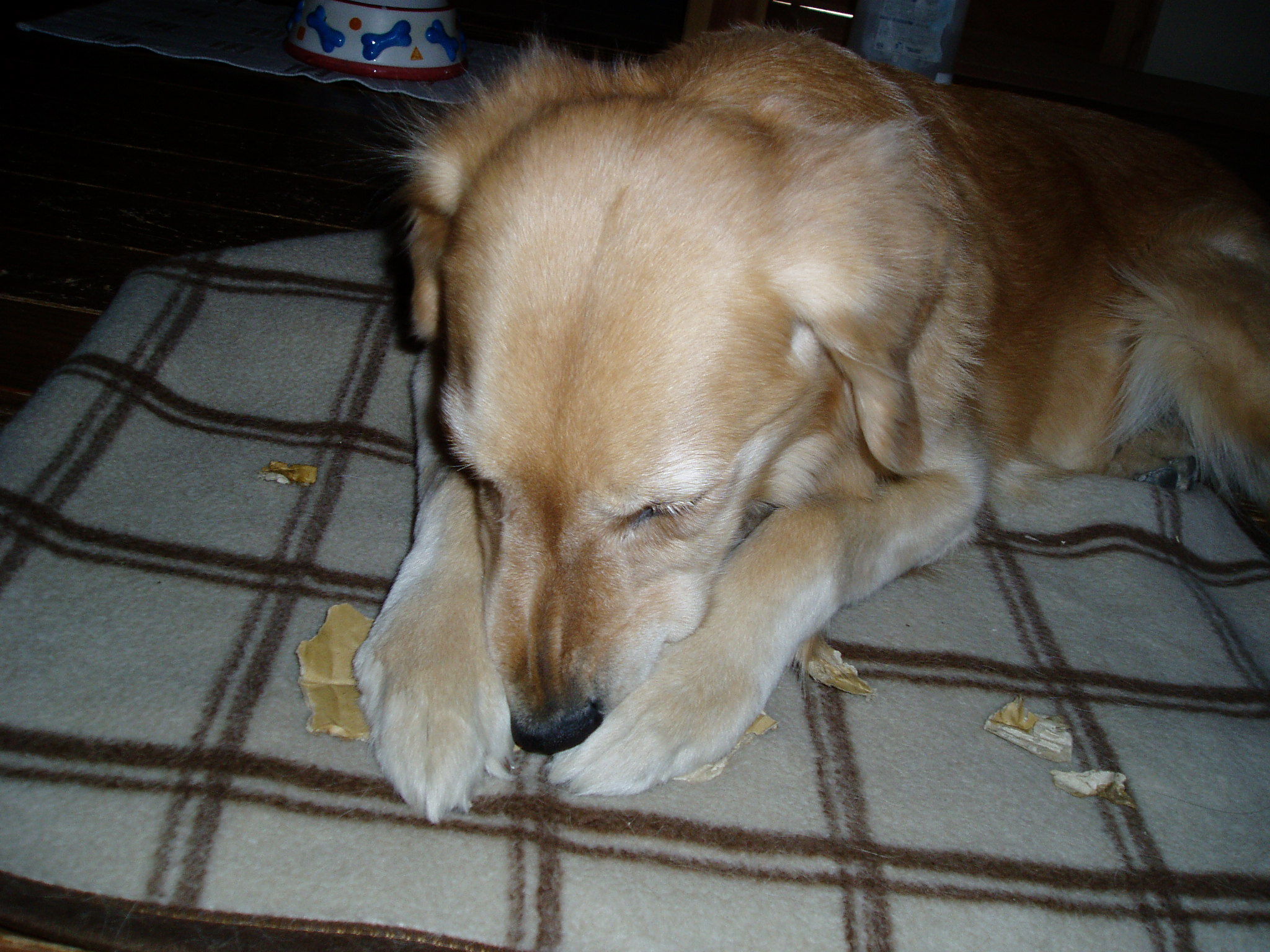 段ボールを破壊