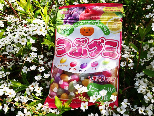 つぶグミ（春日井製菓）